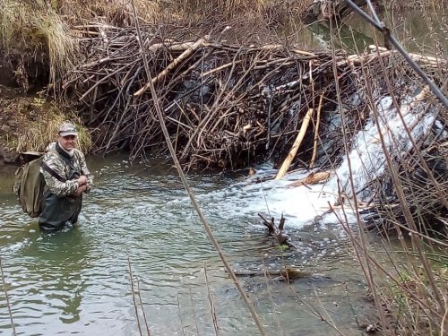 Водохранилище