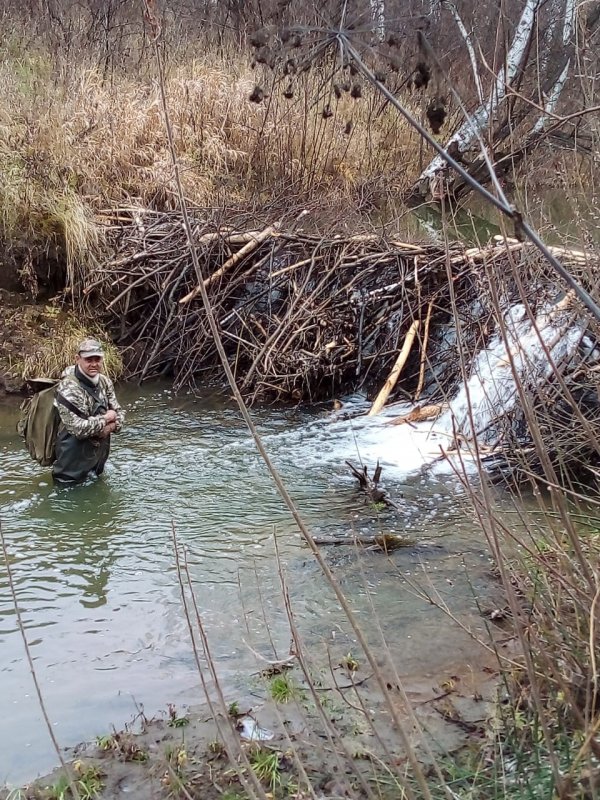 Водохранилище