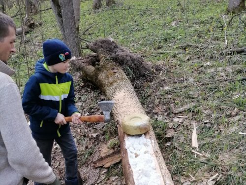 Заложили солонец