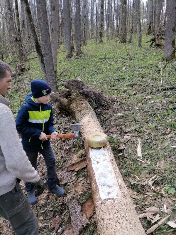 Заложили солонец