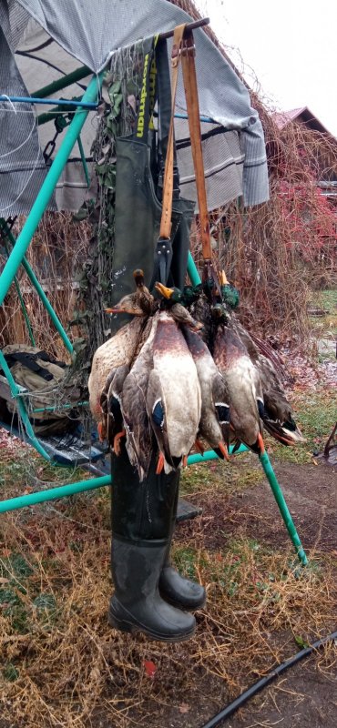 2 вязаночки