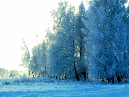 Скоро такая красота...