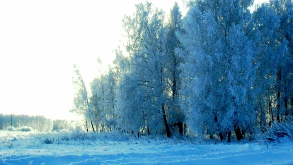 Скоро такая красота...