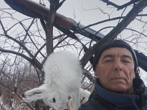 И ещё белячок)