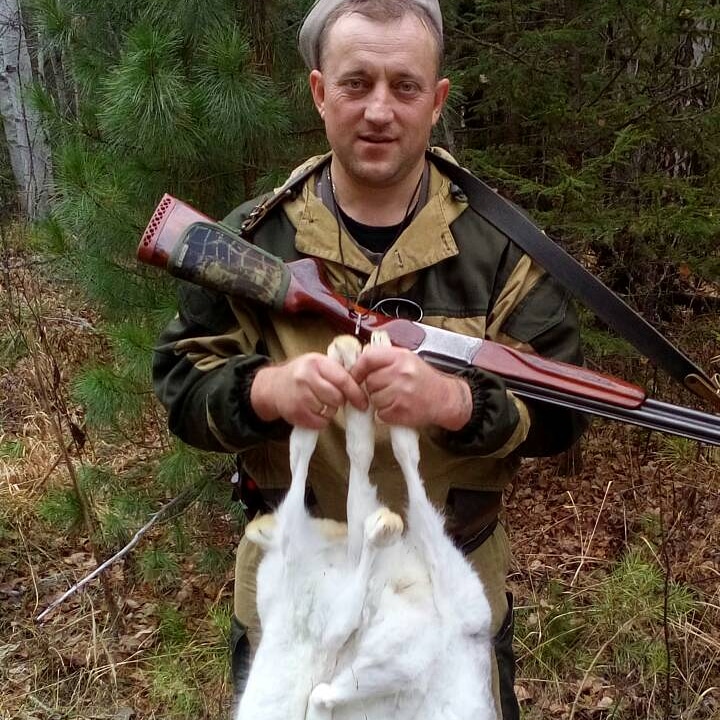 Зайки