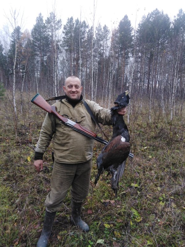 В тайге