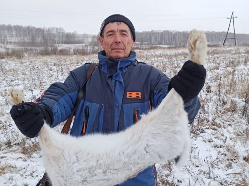 Русачина!