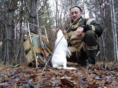 Попался
