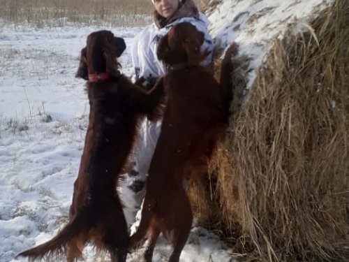 Ну что стоишь,  пошли скорей на охоту:)))