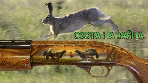 Охота на зайца."ЧУЙКА"