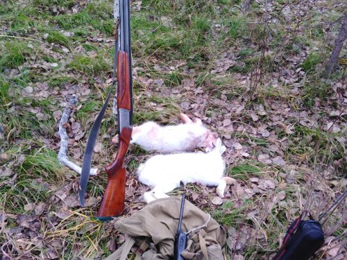 Доброе утро