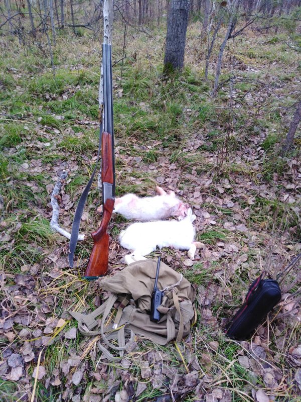 Доброе утро