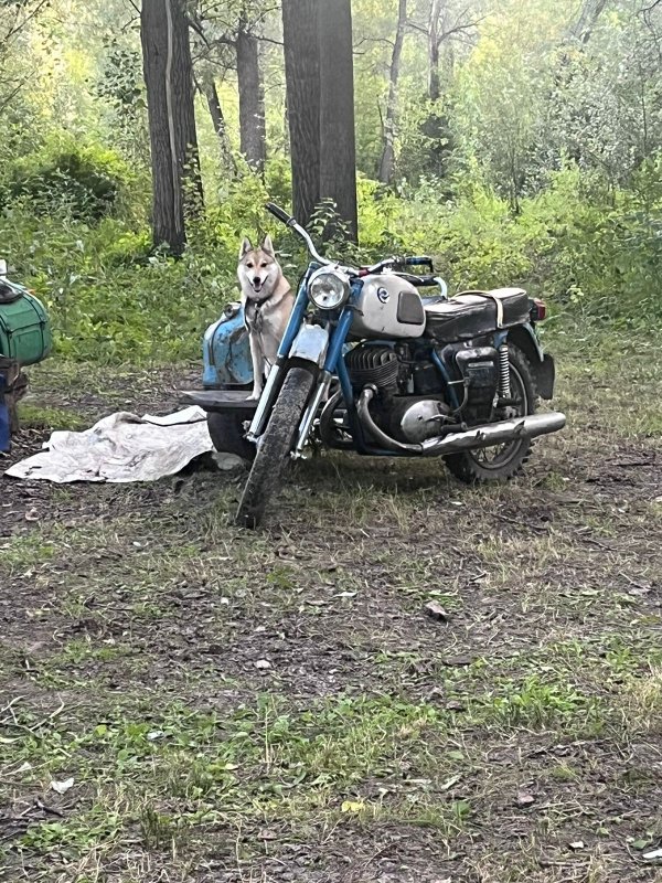 Я готова