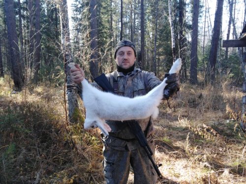 Зайка