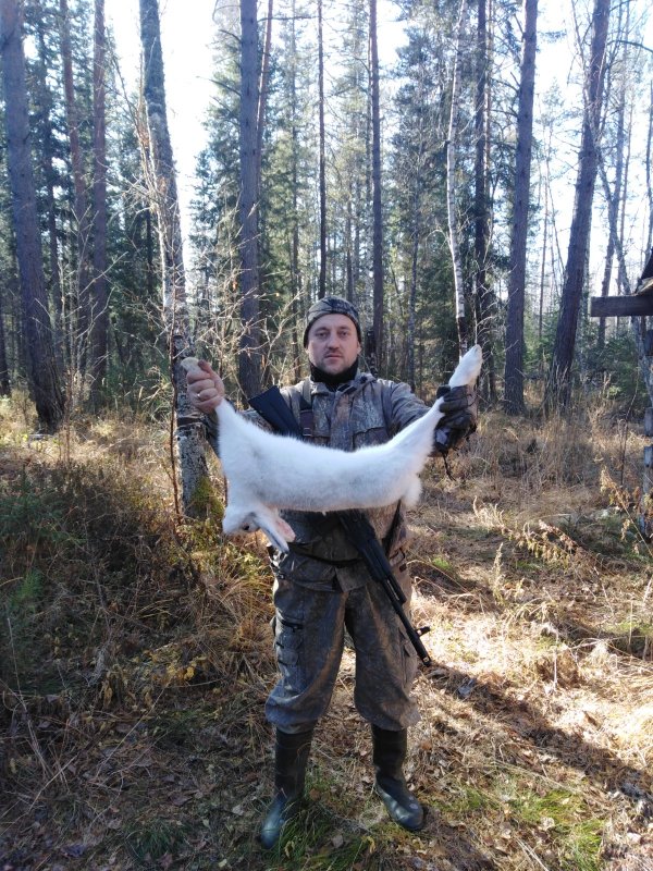 Зайка