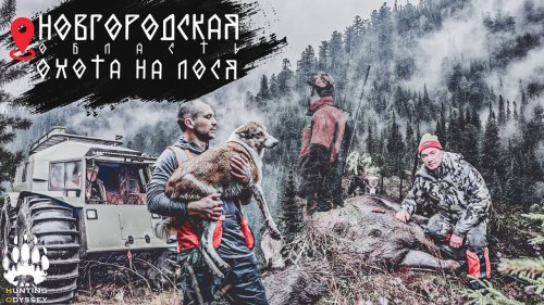 БРОНЕБОЙНЫЙ ЛОСЬ, 9 ВЫСТРЕЛОВ, ПРИГОТОВИЛИ ПЕЧЕНКУ