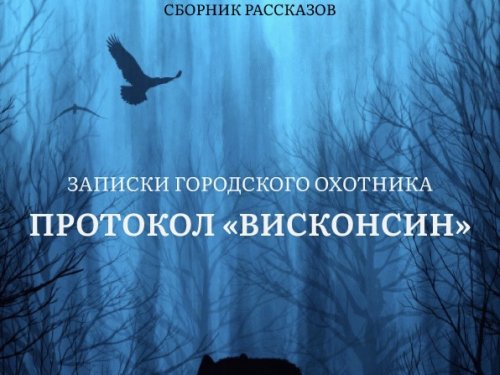 Протокол Висконсин. 2 сезон. Снежинка