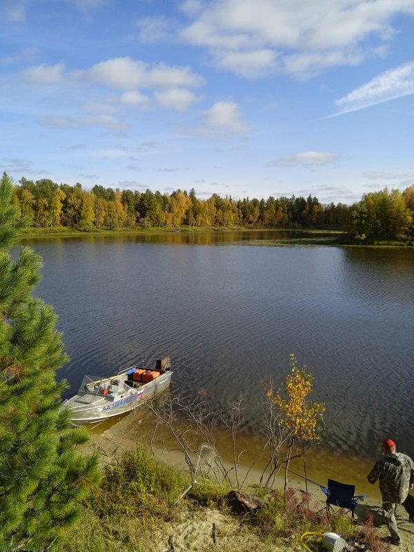 Красота