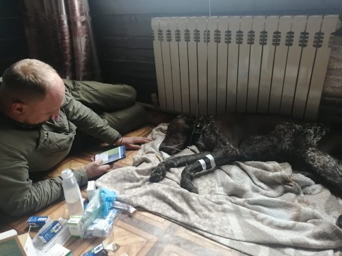 как в клятве:...и в горе и в радости, в болезни и в здравии....