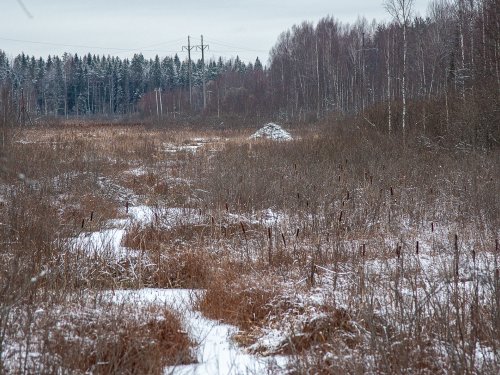 "Домик в деревне".