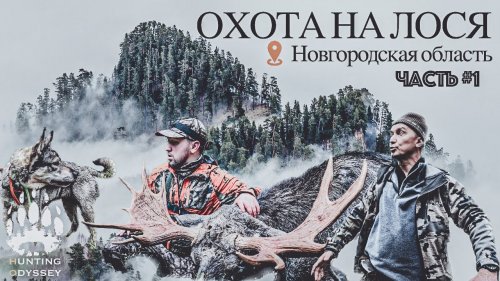 ДОБЫЛИ БОЛЬШОГО БЫКА! ОТКРЫЛИ СЕЗОН ОХОТЫ.