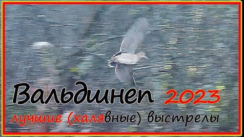 Вальдшнеп с легавой 2023