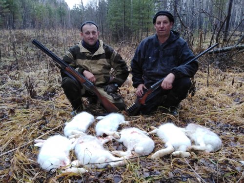 Добыли заек