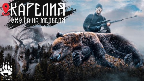 МЕДВЕДЬ НАПУГАЛ ГРИБНИКА, БЫСТРАЯ ОХОТА С РЕЗУЛЬТАТОМ