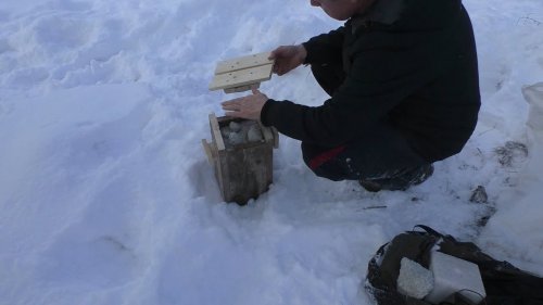 Солонец работает целый год! Соль на солонец.