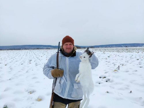 Оставили нынче зайцам капустки на зиму, есть где разгуляться!