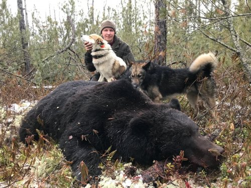 Медвежатники