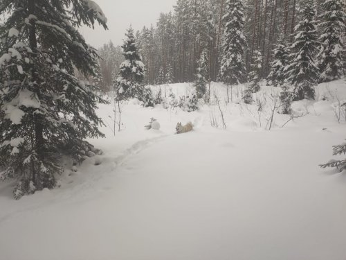 а снег все валит..
