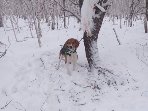 С Полем