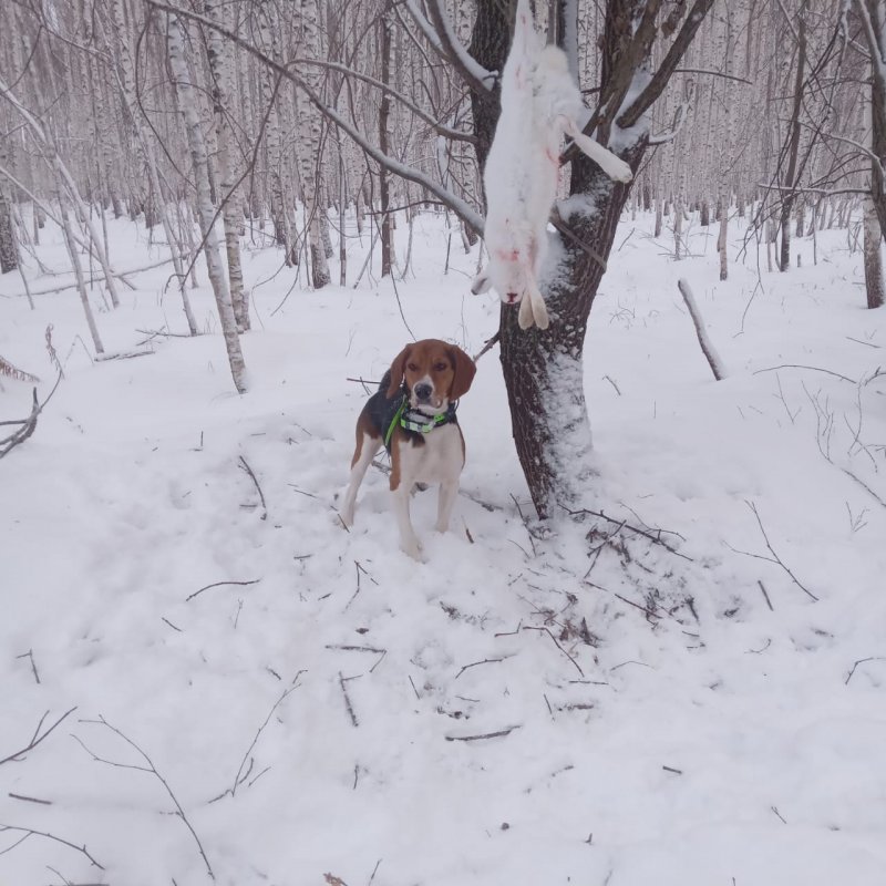 С Полем