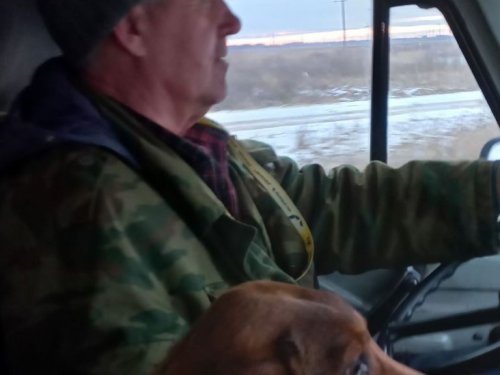 Едем на охоту с таксой Верой