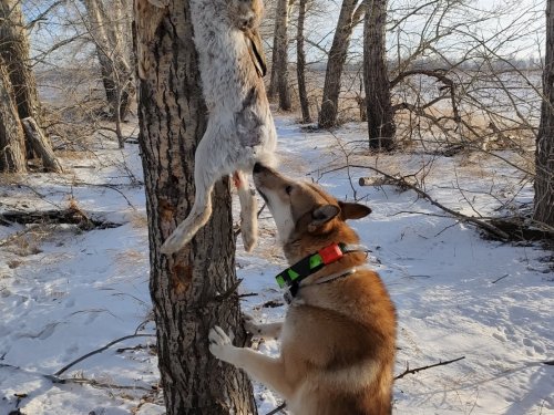 Твой самый первый