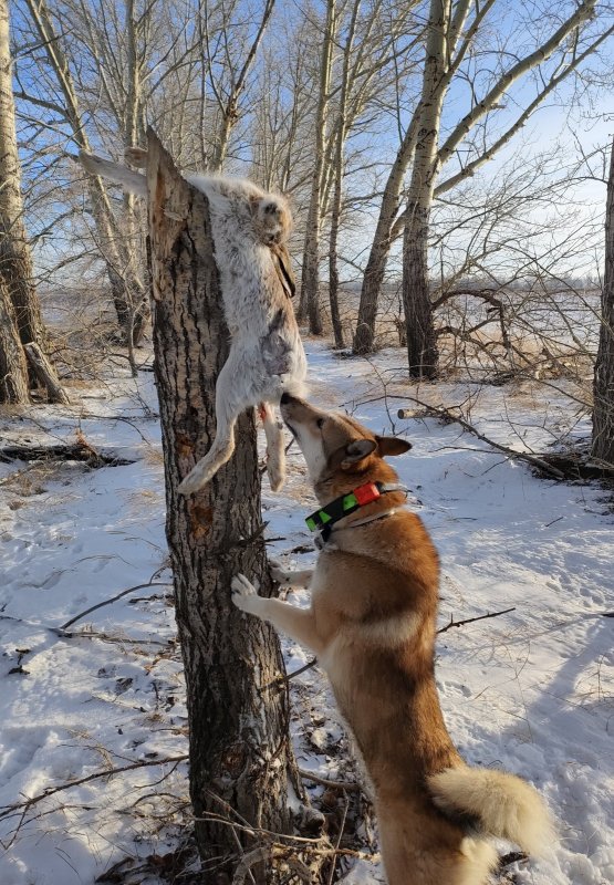 Твой самый первый