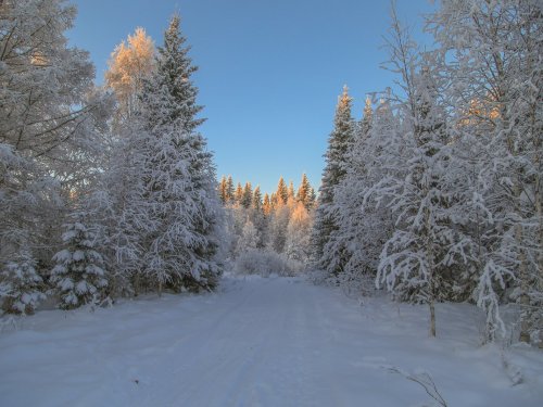 декабрь