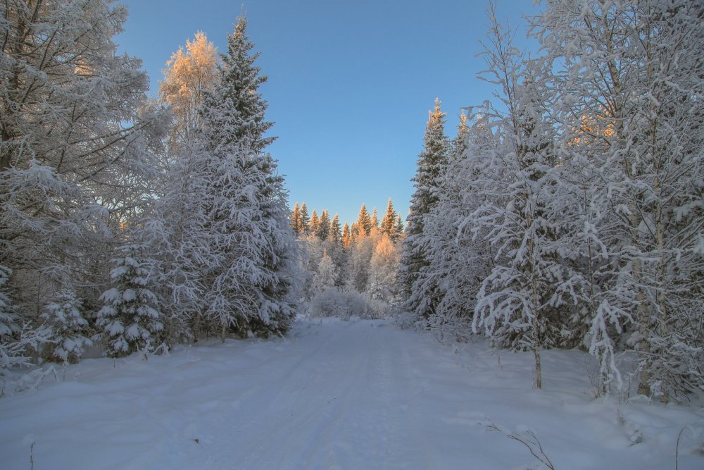 декабрь