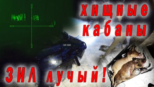 Опасная охота часть 2. Кабан мясоед и ночное происшествие. Сново сломался Снегоход IRBIS TUNGUS