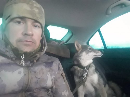 Мергены не без ошибок))))