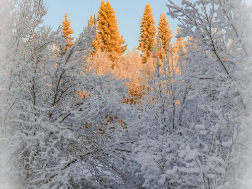 снег и солнце