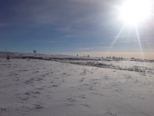 Мороз, январь, день чудесный...