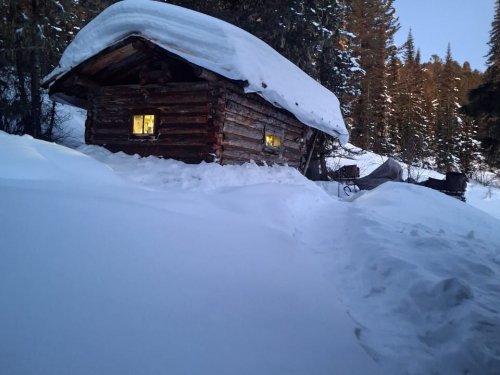 На пушном промысле