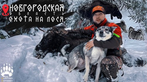 ДОБЫЛИ МЯСО НА ЗИМУ, ЗАКРЫЛИ СЕЗОН ОХОТЫ НА ЛОСЯ 2023