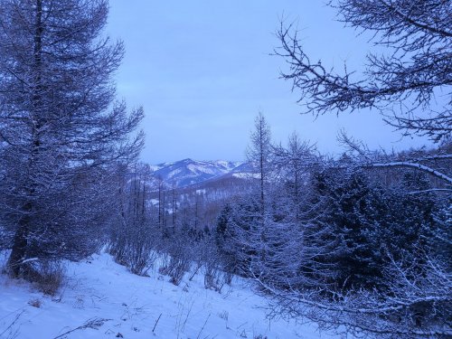 Январский пейзаж