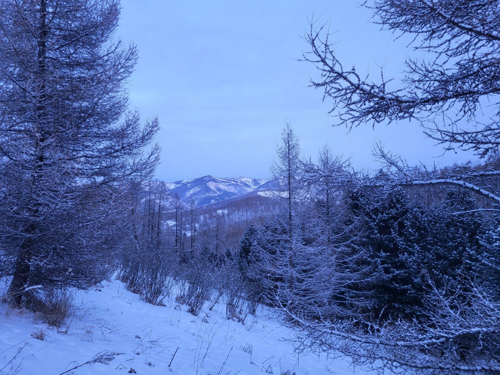Январский пейзаж
