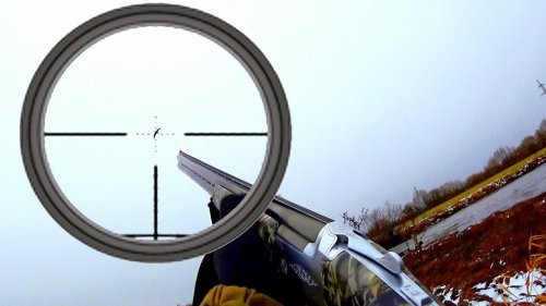 ОХОТА 2023г. ЛУЧШИЕ МОМЕНТЫ С ОХОТЫ.