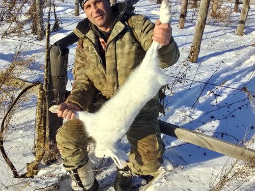 Ну вот очередной выходной удачьный