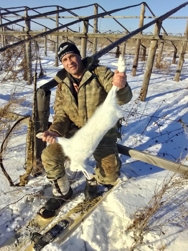 Ну вот очередной выходной удачьный